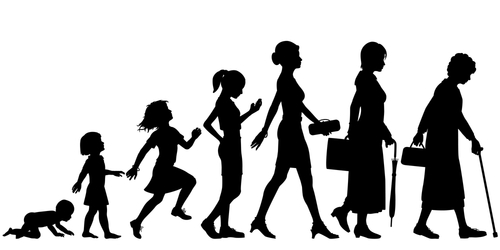 Illustrated silhouettes of different stages of a woman's life