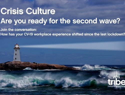 Crisis Culture – Are you ready for the second wave?