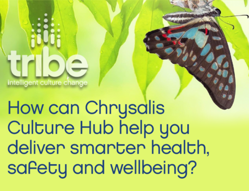 How can Chrysalis Culture Hub help you deliver smarter health, safety and wellbeing?