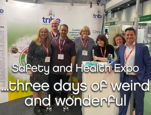 Safety and Health Expo – three days of weird and wonderful